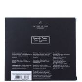 Catharine Hill Sombras Variadas 1017 - Paleta De Sombras 24g